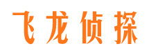 安徽侦探调查公司